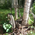 Tiomilaskogen 2011 064